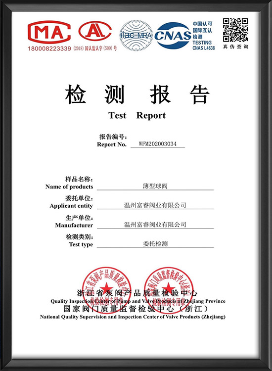 test report