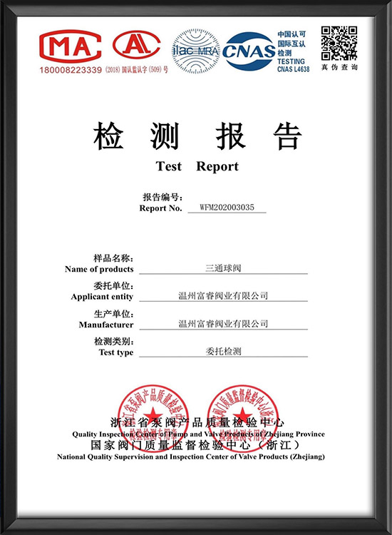 test report